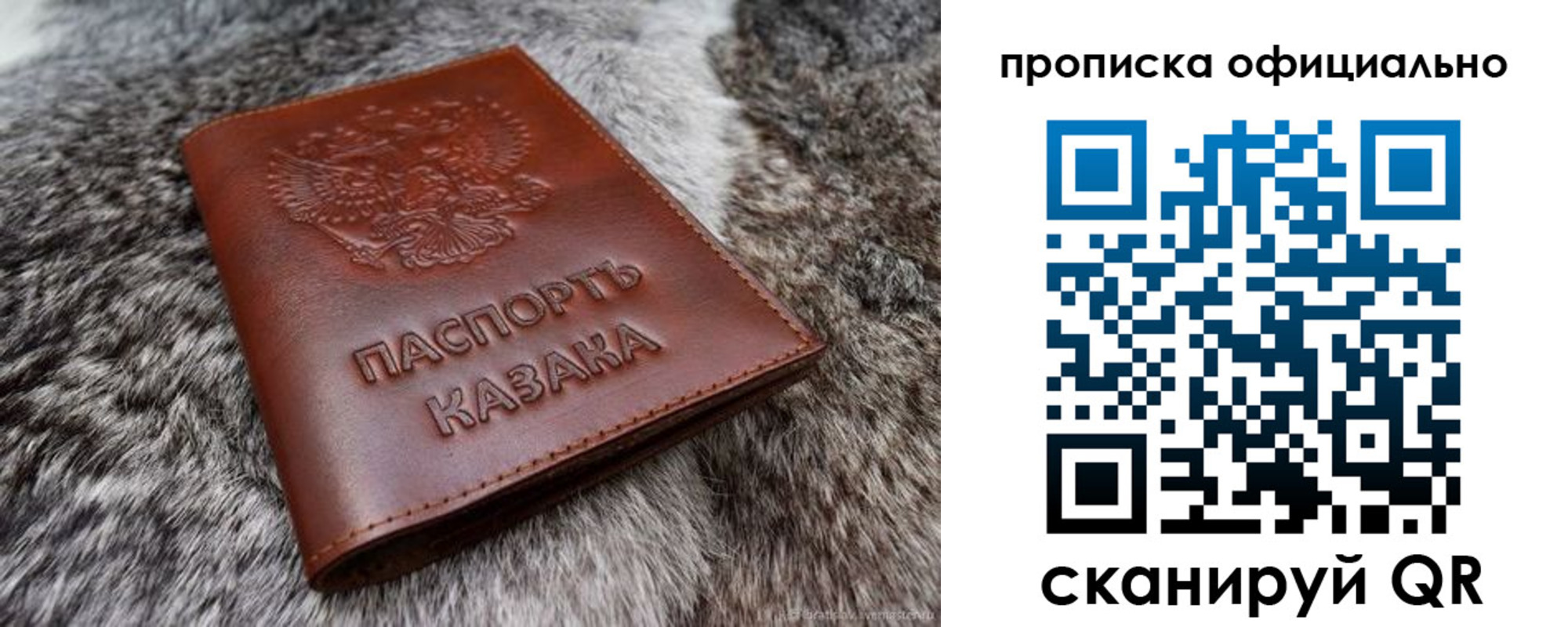 где прописаться в Павловском Посаде